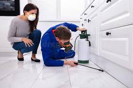 Best Pest Exclusion Services  in Airmont, NY